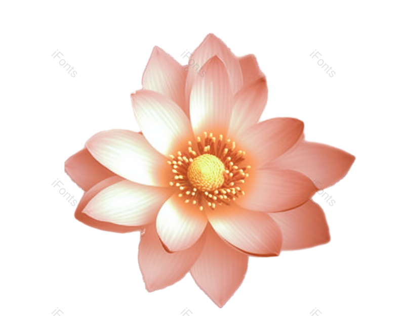 中国风图片,元素元素,荷花PNG,夏天免抠素材